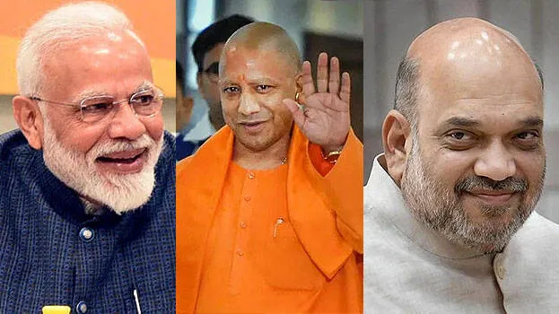 yogi