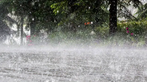 rain