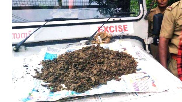 kanjavu-003 kanjavu-003