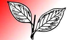 kerala-congress kerala-congress