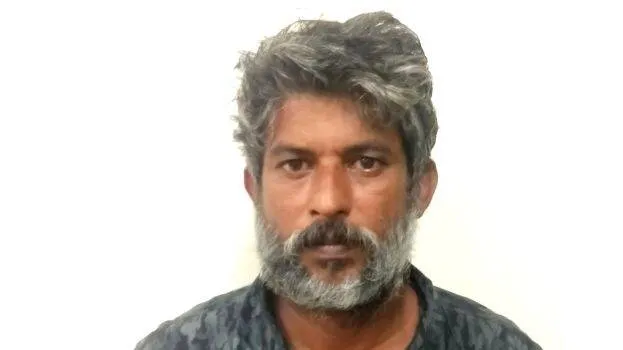 shaji