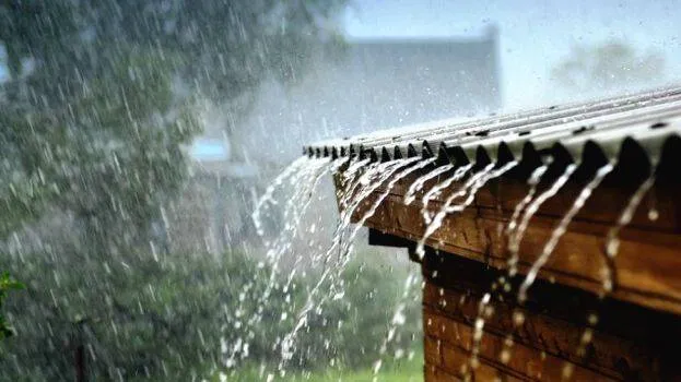 rain