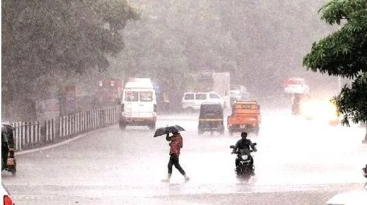 rain-