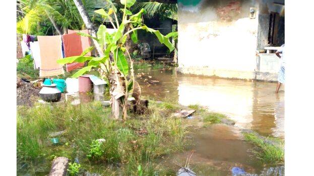 vellakkettu vellakkettu