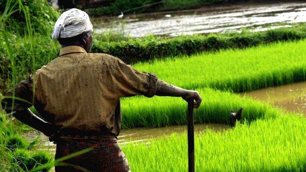 farmer-laws farmer-laws