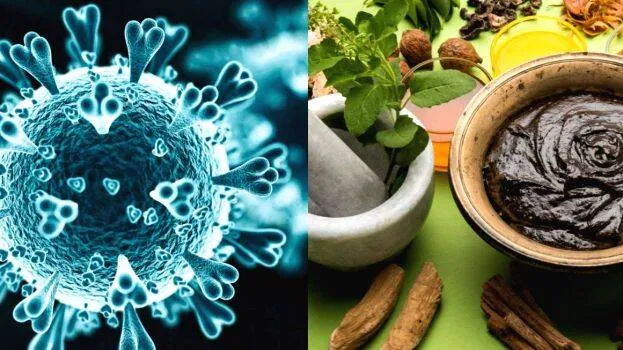 ayurveda
