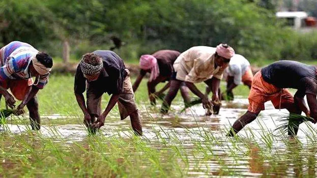 farmers