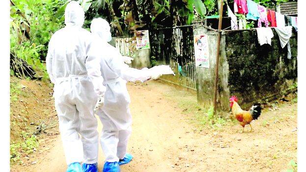 local-body-election local-body-election