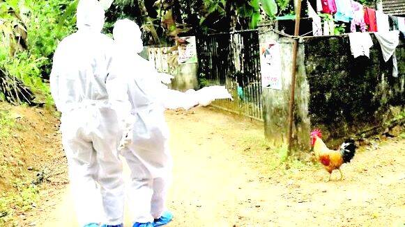 local-body-election local-body-election