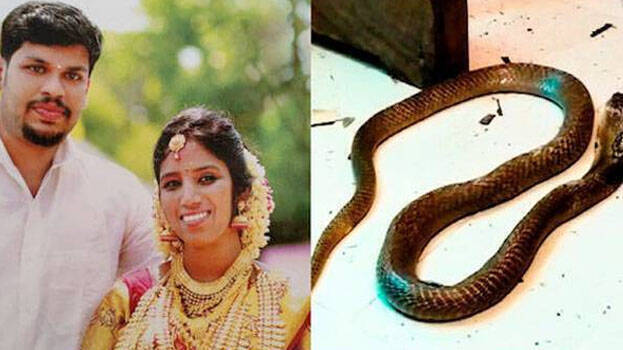 uthra-murder-case uthra-murder-case