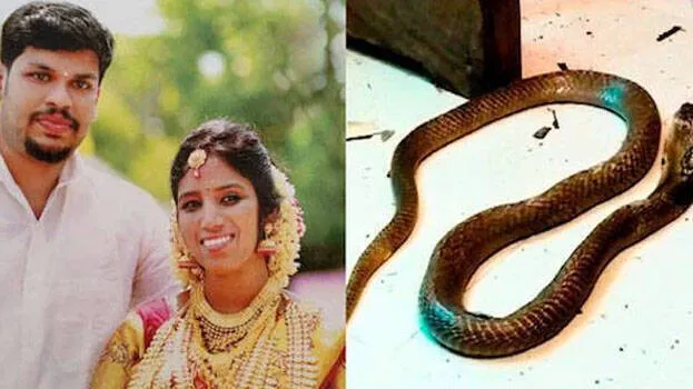 uthra-murder-case