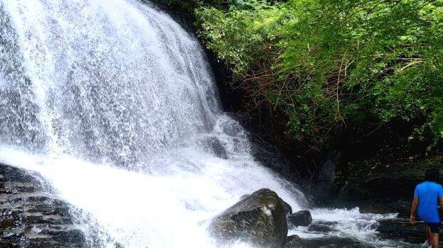 pattathipara pattathipara