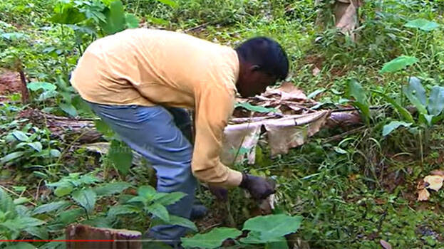 snake-master snake-master