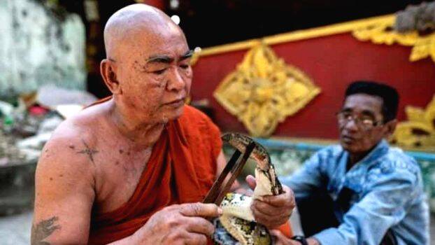 monk-and-snakes monk-and-snakes