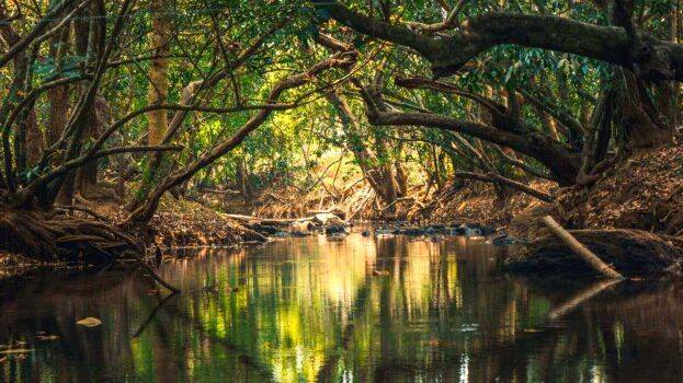 kuruvadweep kuruvadweep