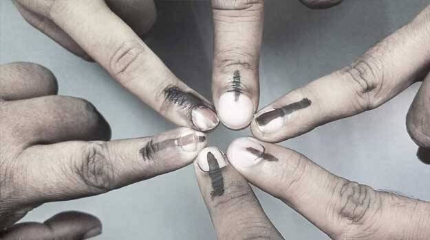 local-polls local-polls