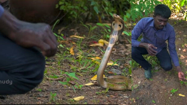 snake-master snake-master