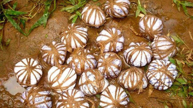 local-body-election local-body-election