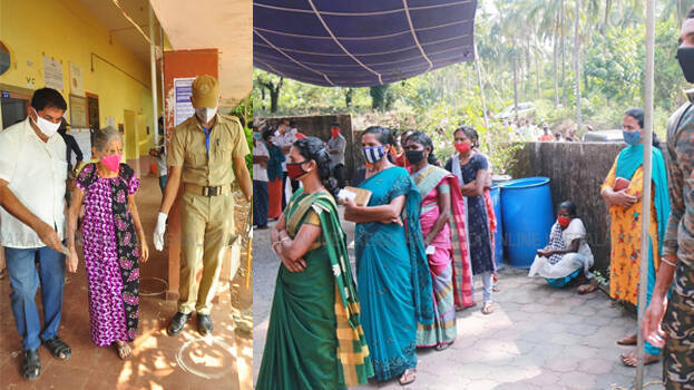 local-body-election local-body-election