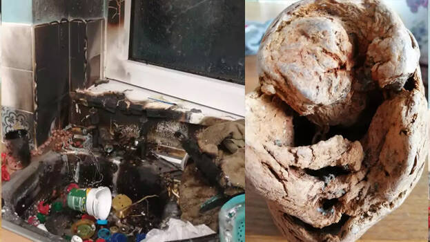 strange-stone strange-stone