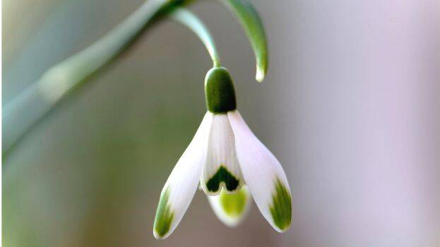 mayilpeeli mayilpeeli