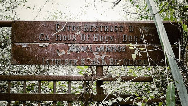 malcha-mahal malcha-mahal