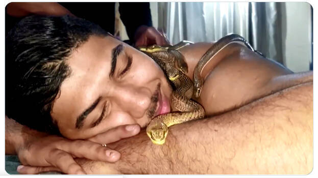 snake-massage- snake-massage-