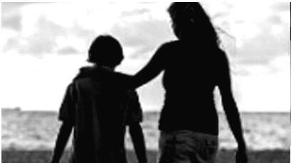 case-diary- case-diary-