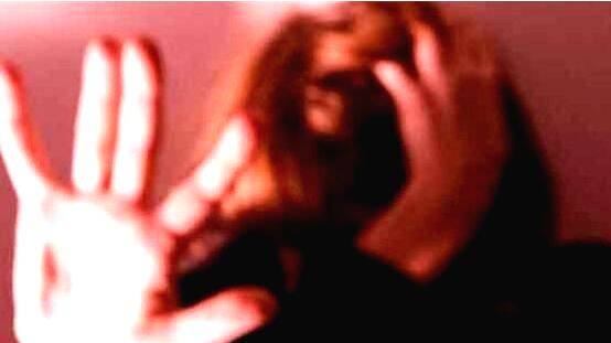 case-diary- case-diary-