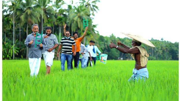 local-body-election local-body-election