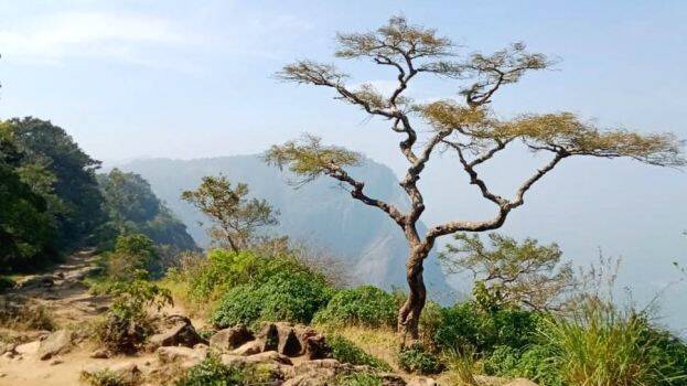 nelliyampathy nelliyampathy