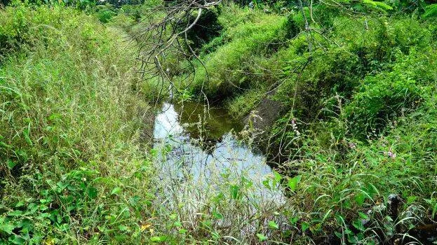 canal