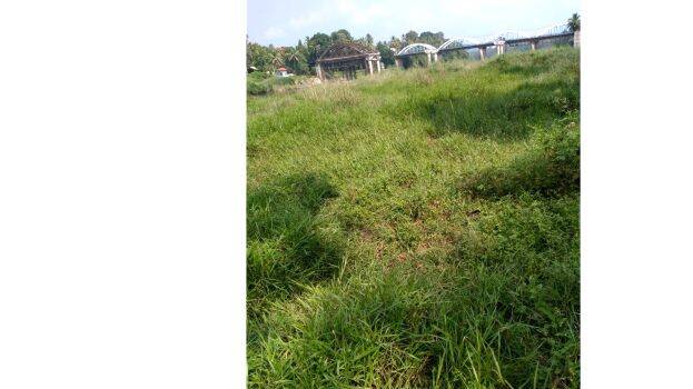 01-pampa-manal-puttu 01-pampa-manal-puttu