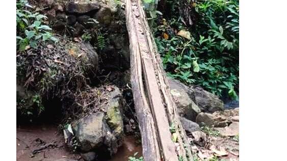 02-thadipalam 02-thadipalam