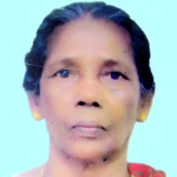 podichi-72 podichi-72