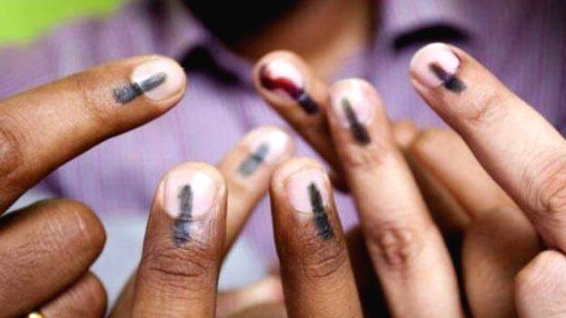 local-body-election local-body-election