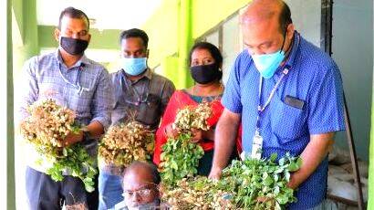 kappalandi kappalandi