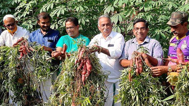 pattathanam-photo pattathanam-photo