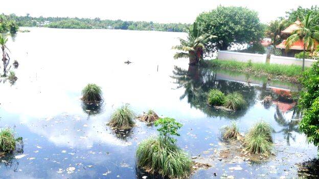 vattakkayal vattakkayal