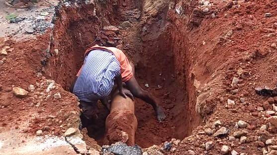 water-authority water-authority