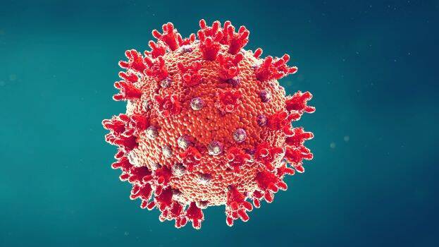 kerala-election-and-covid kerala-election-and-covid