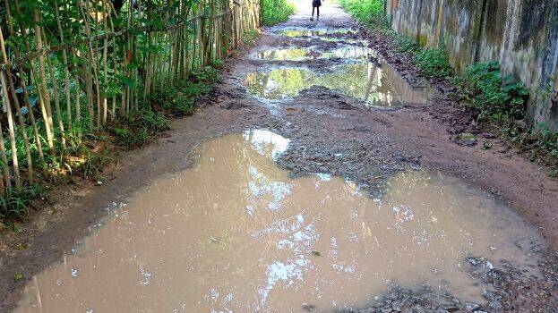 pandaravila pandaravila