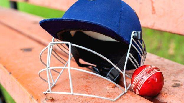 cricket