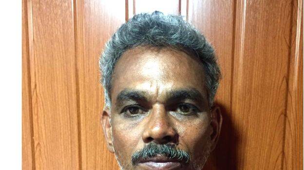 arrest-shibu arrest-shibu