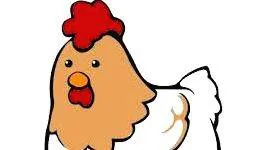 chicken