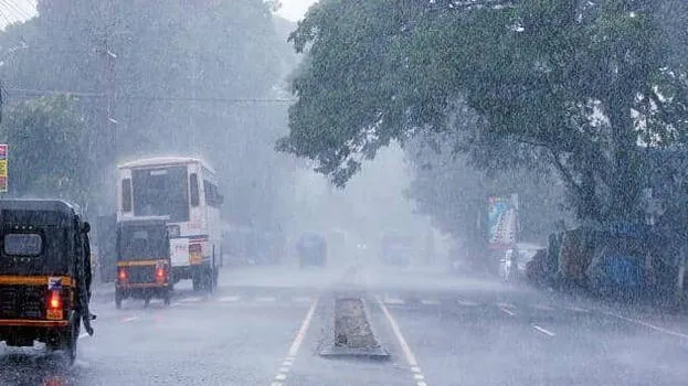 rain