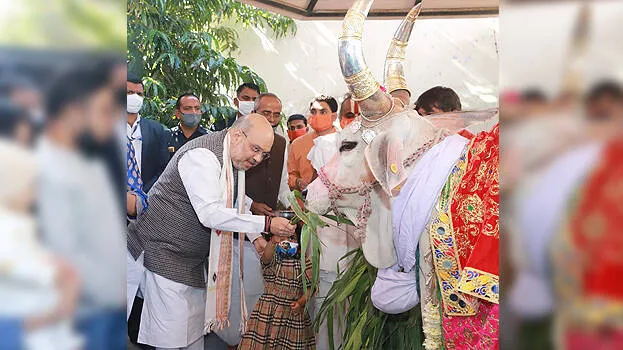 shah3