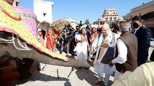 shah8