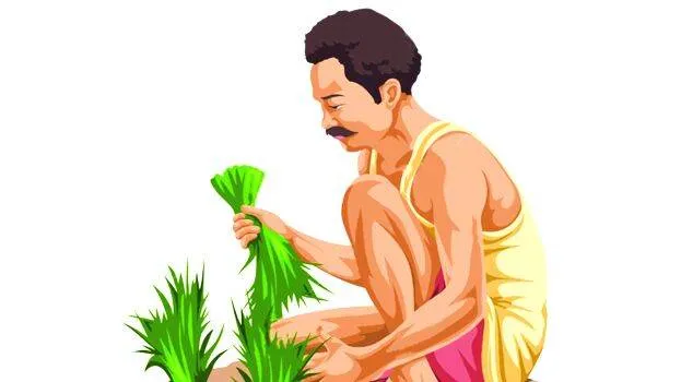 farmer