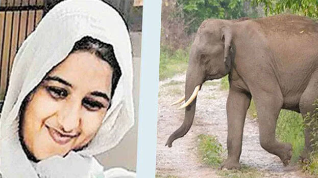 shahana